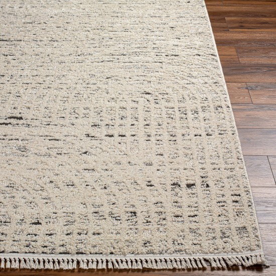 Surya Berlin Blr-2303 Rug 2'7" X 7'3"