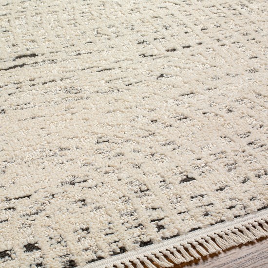 Surya Berlin Blr-2303 Rug 7'10" X 10'