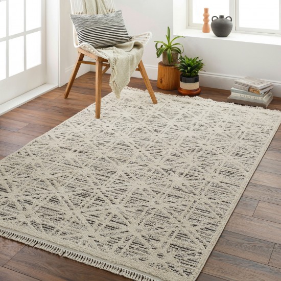 Surya Berlin Blr-2304 Rug 2'7" X 7'3"