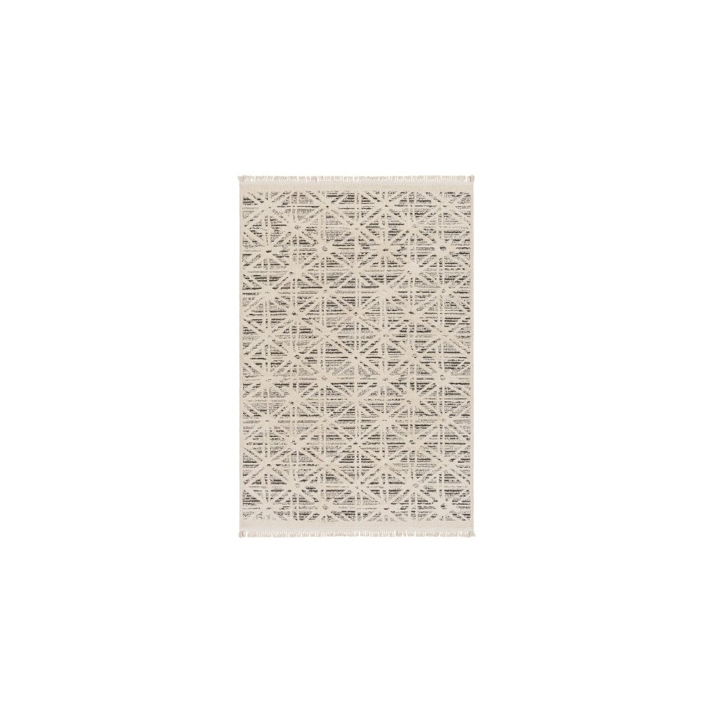 Surya Berlin Blr-2304 Rug 6'6" X 9'