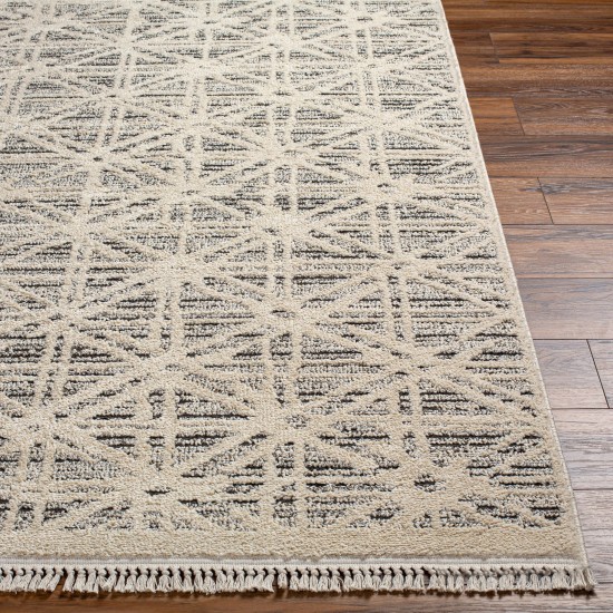 Surya Berlin Blr-2304 Rug 6'6" X 9'