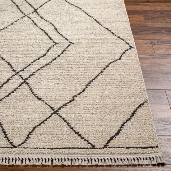 Surya Berlin Blr-2308 Rug 2'7" X 7'3"