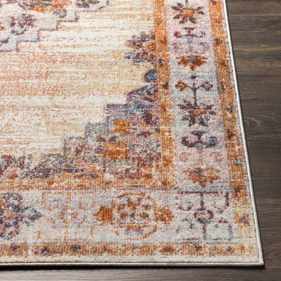 Surya Bilbao Orange Rug 5'3" X 7'