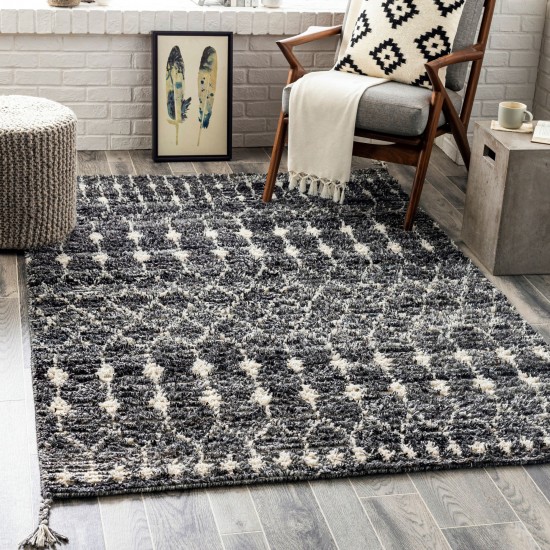 Surya Birch Black Rug 8'10" X 12'