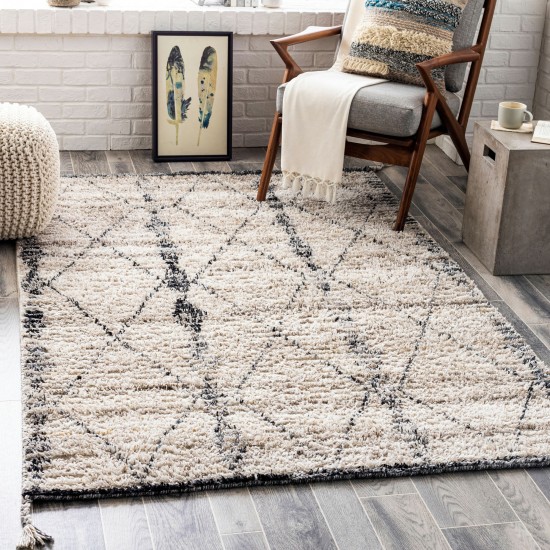 Surya Birch Light Beige Rug 10' X 14'