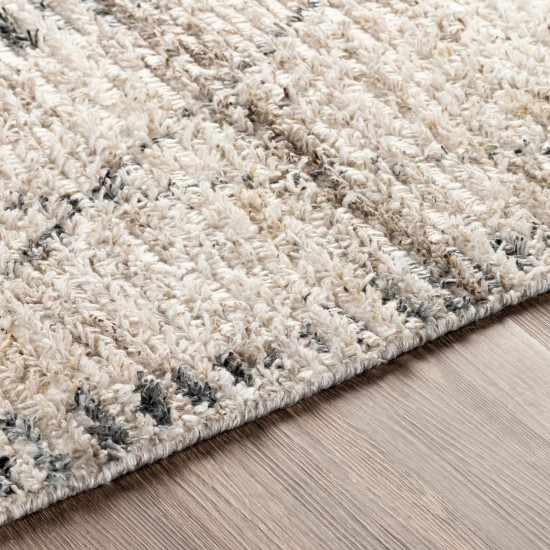 Surya Birch Light Beige Rug 2'6" X 8'