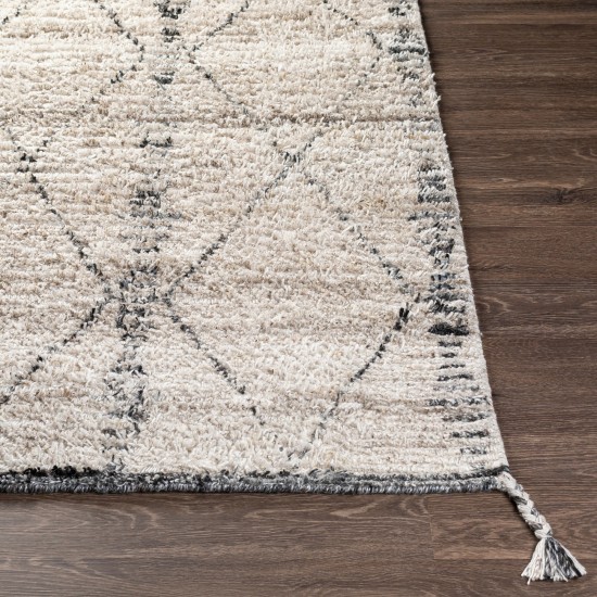 Surya Birch Light Beige Rug 8' X 10'