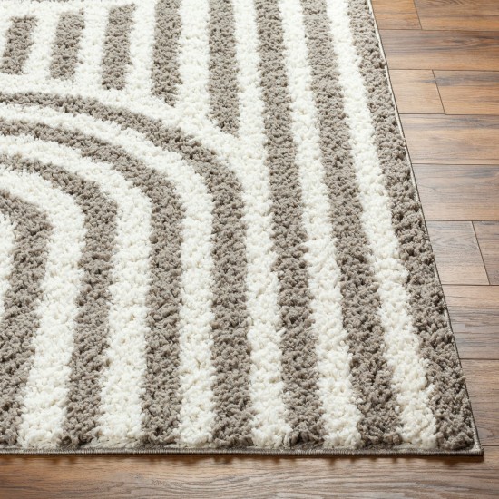 Surya Birmingham Bmm-2305 Rug 5'3" X 7'