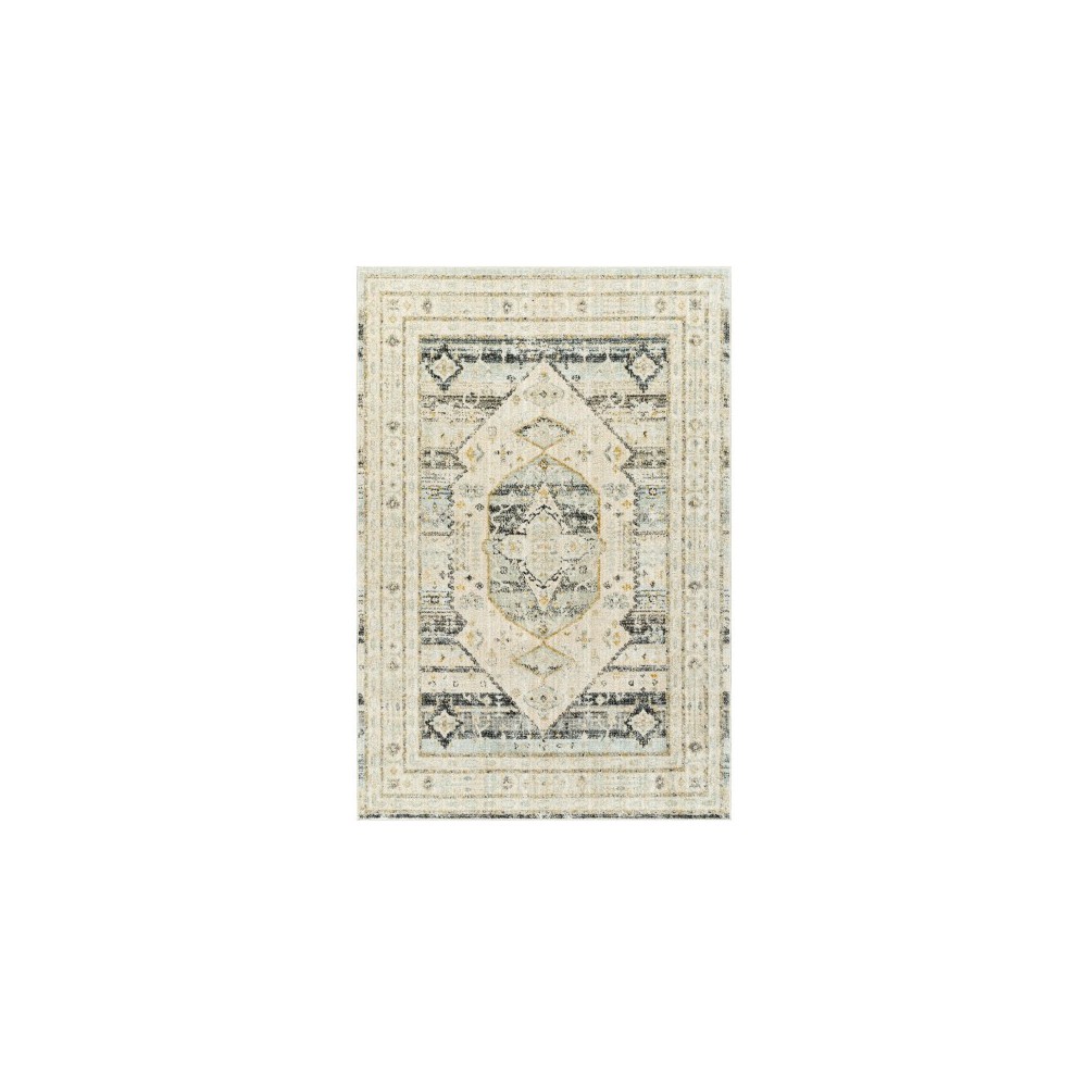 Surya Bitlis Bsi-2300 Rug 5'3" X 7'