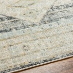 Surya Bitlis Bsi-2300 Rug 6'7" X 9'