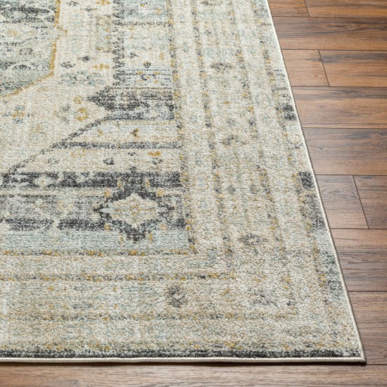 Surya Bitlis Bsi-2300 Rug 7'10" X 10'