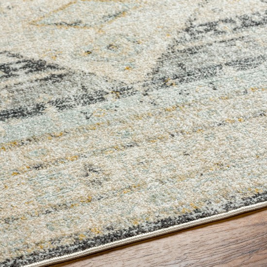 Surya Bitlis Bsi-2300 Rug 7'10" X 10'