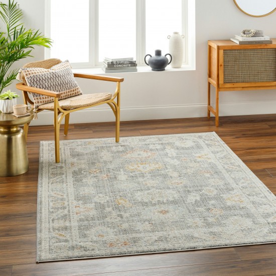 Surya Bitlis Bsi-2303 Rug 5'3" X 7'