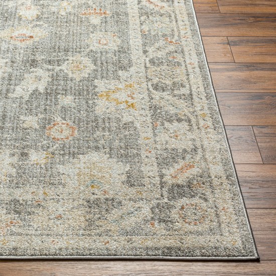 Surya Bitlis Bsi-2303 Rug 7'10" X 10'