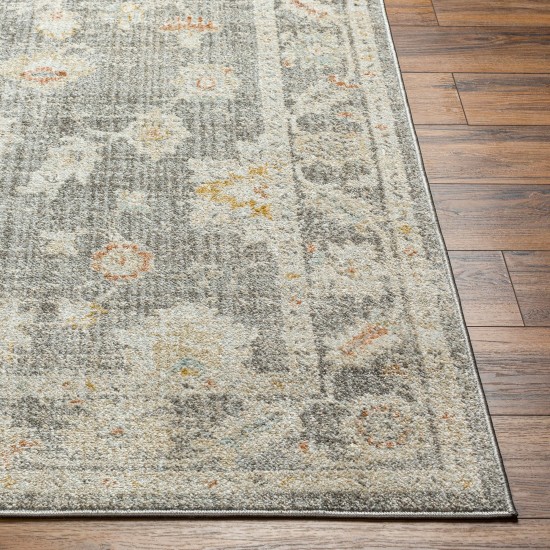 Surya Bitlis Bsi-2303 Rug 9'2" X 12'