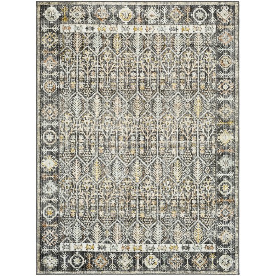 Surya Bitlis Bsi-2304 Rug 5'3" X 7'