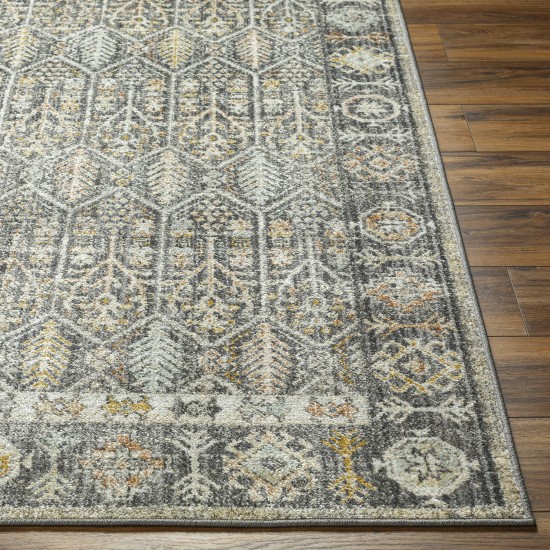 Surya Bitlis Bsi-2304 Rug 5'3" X 7'