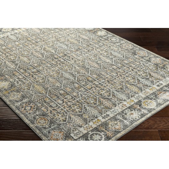 Surya Bitlis Bsi-2304 Rug 6'7" X 9'