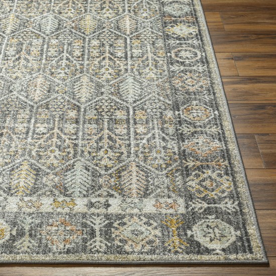 Surya Bitlis Bsi-2304 Rug 6'7" X 9'