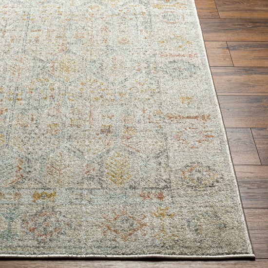 Surya Bitlis Bsi-2305 Rug 9'2" X 12'