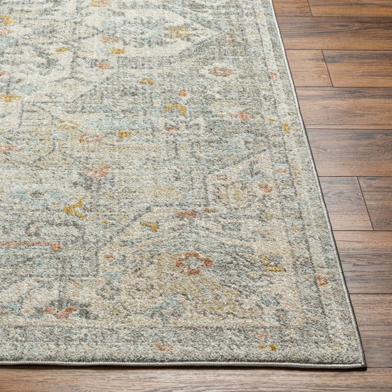 Surya Bitlis Bsi-2306 Rug 9'2" X 12'