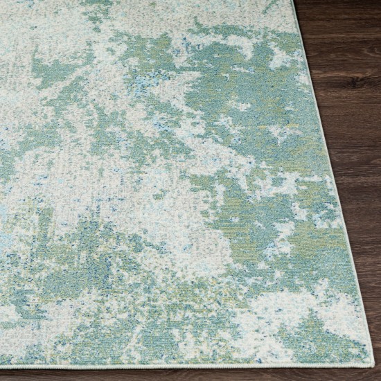 Surya Bodrum Rug 5'3" X 7'3" - Medium Green, Sky Blue