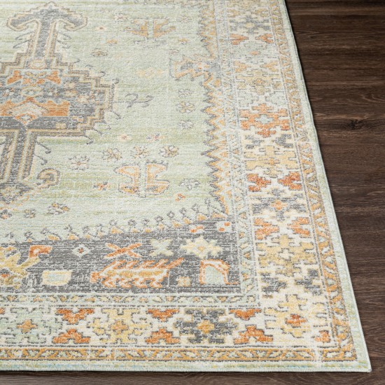 Surya Bodrum Brick Red Rug 6'11" X 9'