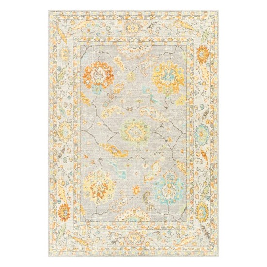 Surya Bodrum Light Gray Rug 5'3" X 7'3"