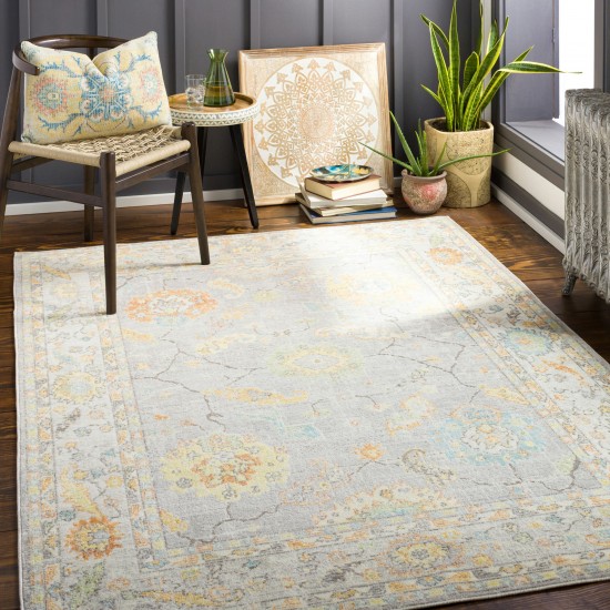 Surya Bodrum Light Gray Rug 5'3" X 7'3"