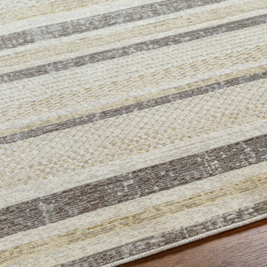 Surya Bodrum Bdm-2342 Rug 6'11" X 9'