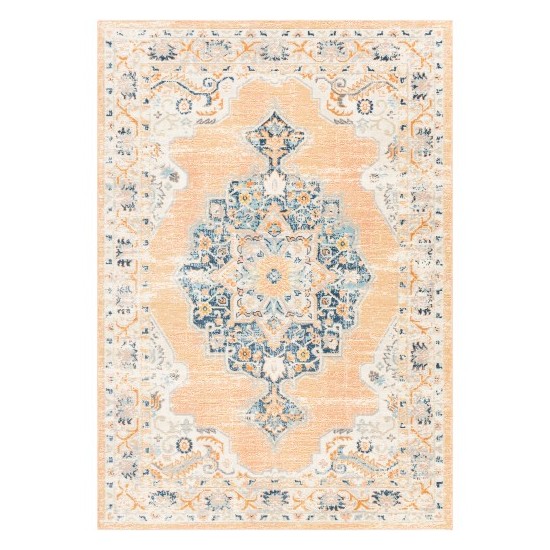 Surya Bodrum Bdm-2344 Rug 6'11" X 9'