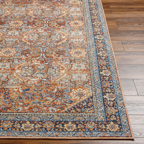 Surya Bodrum Bdm-2347 Rug 6'11" X 9'