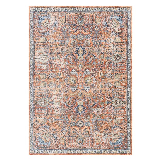 Surya Bodrum Bdm-2349 Rug 6'11" X 9'