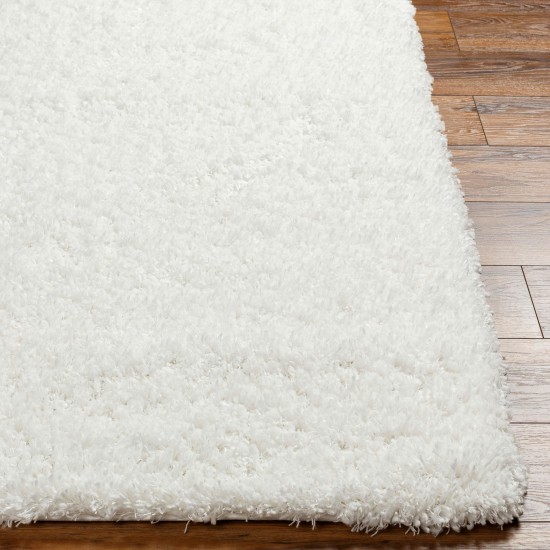 Surya Bogota Shag Btg-2300 Rug 6'7" X 9'