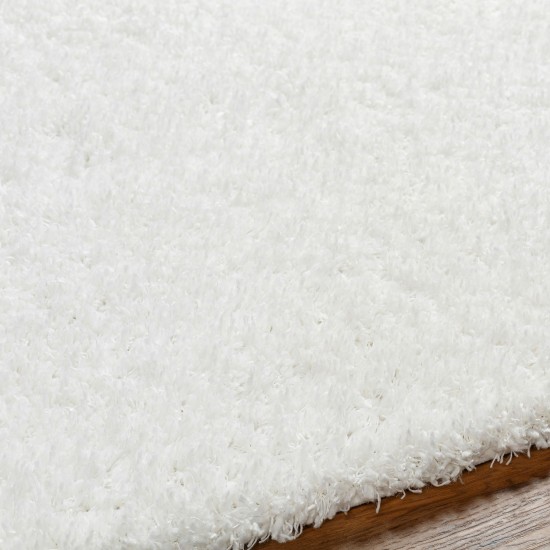 Surya Bogota Shag Btg-2300 Rug 6'7" X 9'