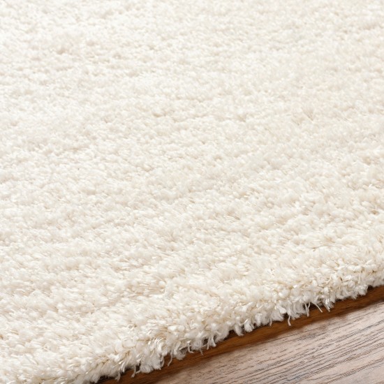 Surya Bogota Shag Btg-2301 Rug 6'7" X 9'
