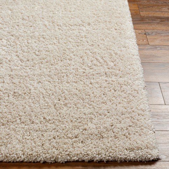 Surya Bogota Shag Btg-2302 Rug 5'3" X 7'