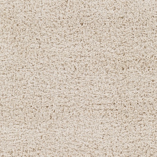 Surya Bogota Shag Btg-2302 Rug 6'7" X 9'