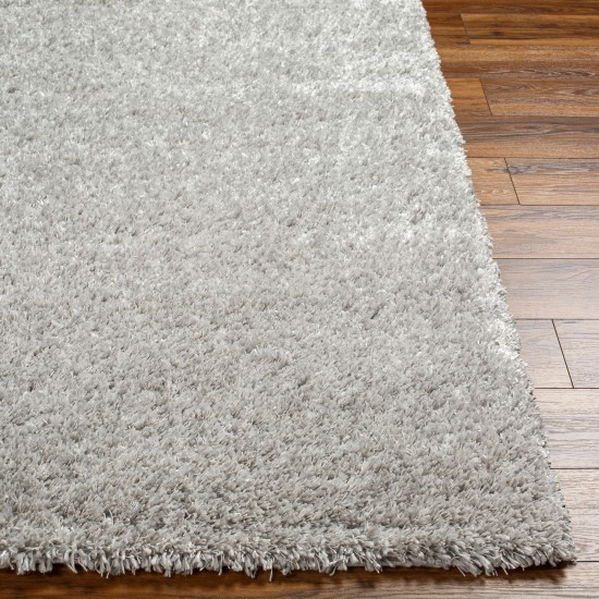 Surya Bogota Shag Btg-2303 Rug 9'2" X 12'