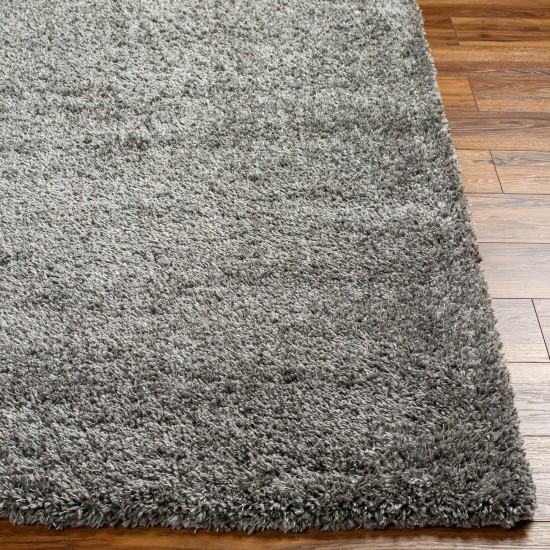 Surya Bogota Shag Btg-2304 Rug 6'7" X 9'