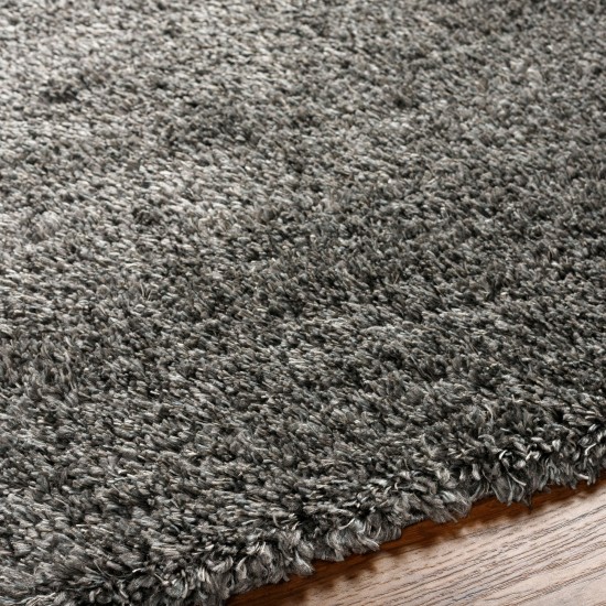 Surya Bogota Shag Btg-2304 Rug 9'2" X 12'