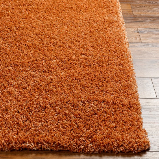 Surya Bogota Shag Btg-2306 Rug 5'3" X 7'