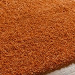 Surya Bogota Shag Btg-2306 Rug 5'3" X 7'