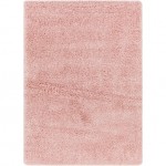 Surya Bogota Shag Btg-2307 Rug 5'3" X 7'