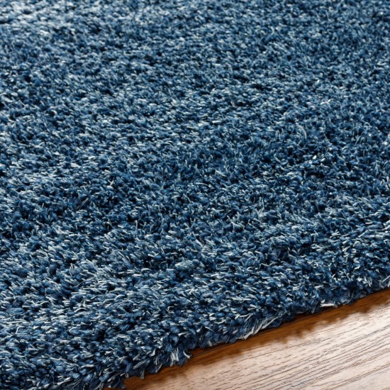 Surya Bogota Shag Btg-2308 Rug 6'7" X 9'