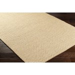 Surya Bolton Tan Rug 2' X 3'