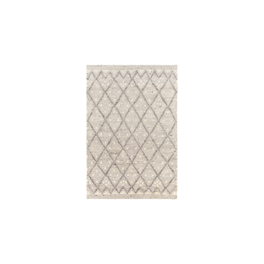 Surya Bremen Light Gray Rug 2' X 3'