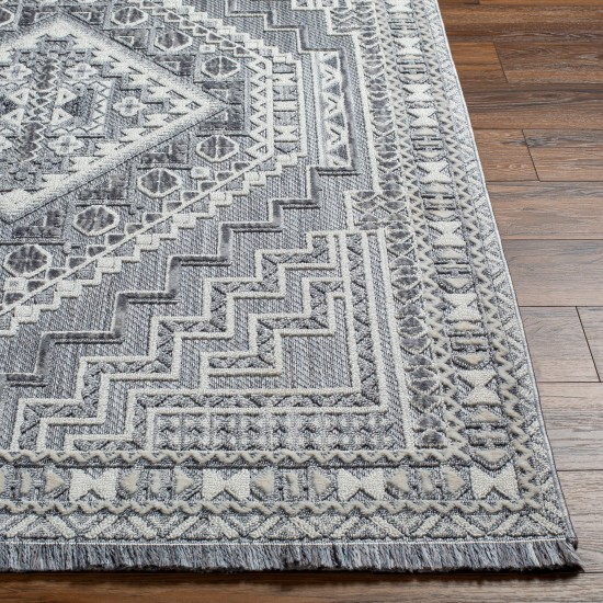 Surya Broadway Bwy-2301 Rug 2'7" X 7'3"