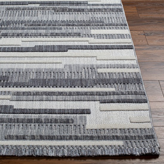 Surya Broadway Bwy-2307 Rug 2'7" X 7'3"