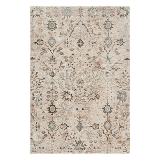 Surya Brunswick Rug 10' X 14' - Taupe, Light Beige